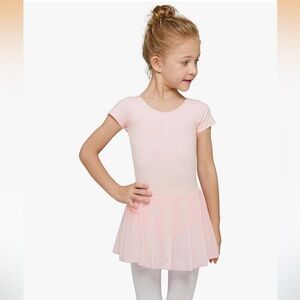 NWT: Toddler Pink Short Sleeve Leotard with Skirt, Size 2T-3T